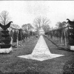 The Pergola Walk
